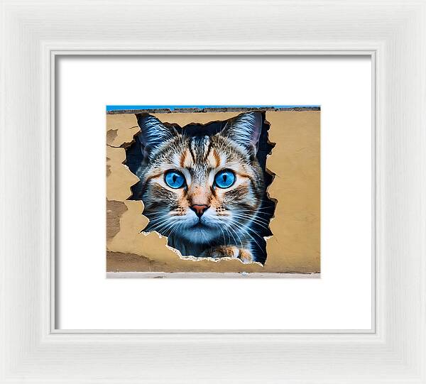Curiosity Unleashed - Framed Print