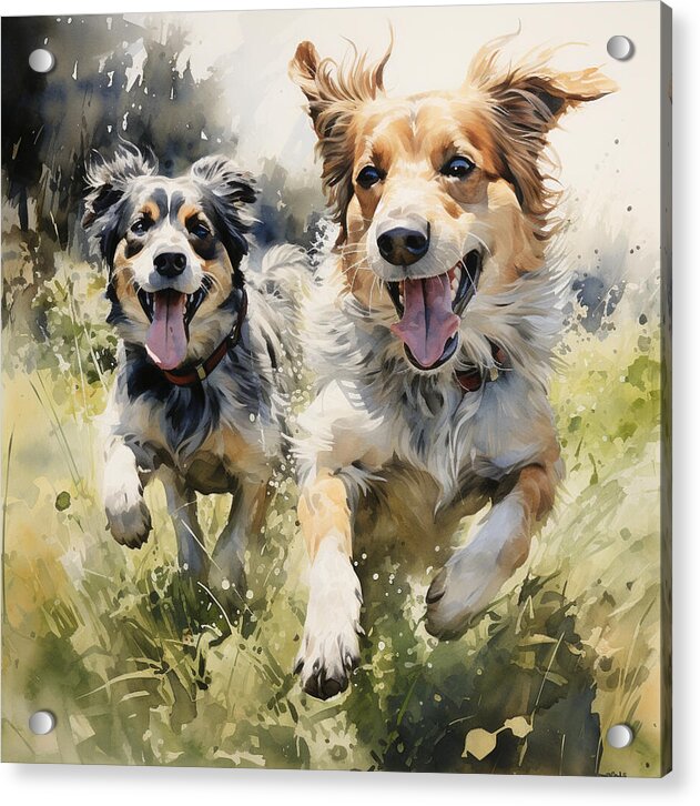 Dynamic Duo - Acrylic Print