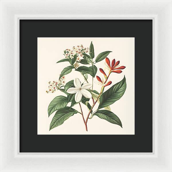 Floral Simplicity - Framed Print