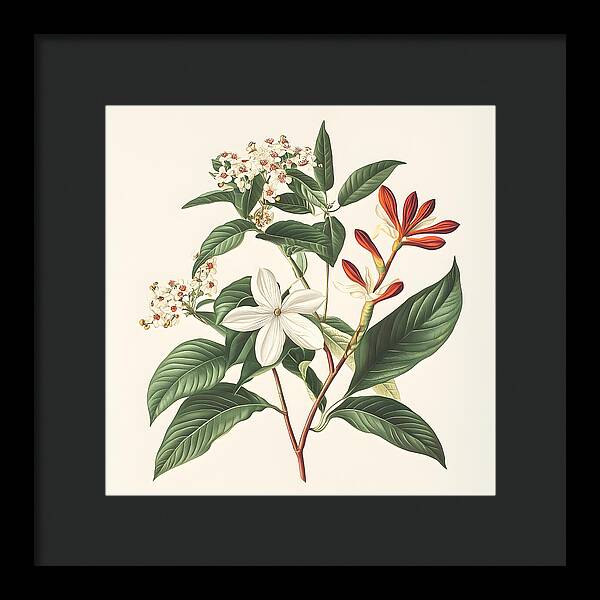 Floral Simplicity - Framed Print