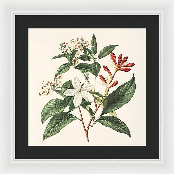 Floral Simplicity - Framed Print