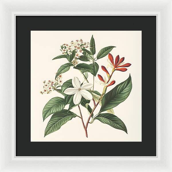 Floral Simplicity - Framed Print