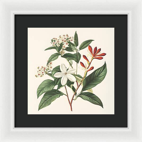 Floral Simplicity - Framed Print