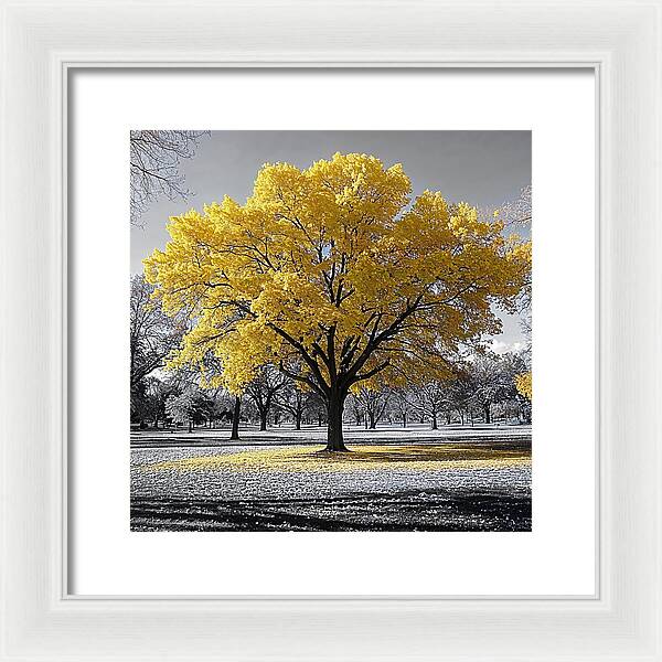 Golden Glow - Framed Print