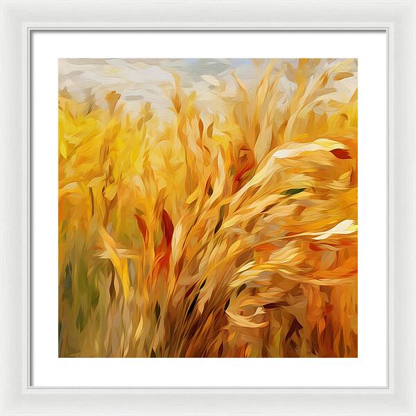 Golden Harvest - Framed Print