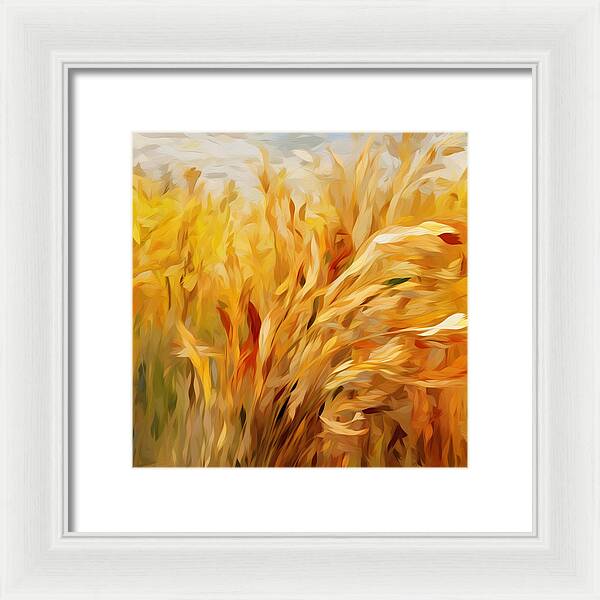 Golden Harvest - Framed Print
