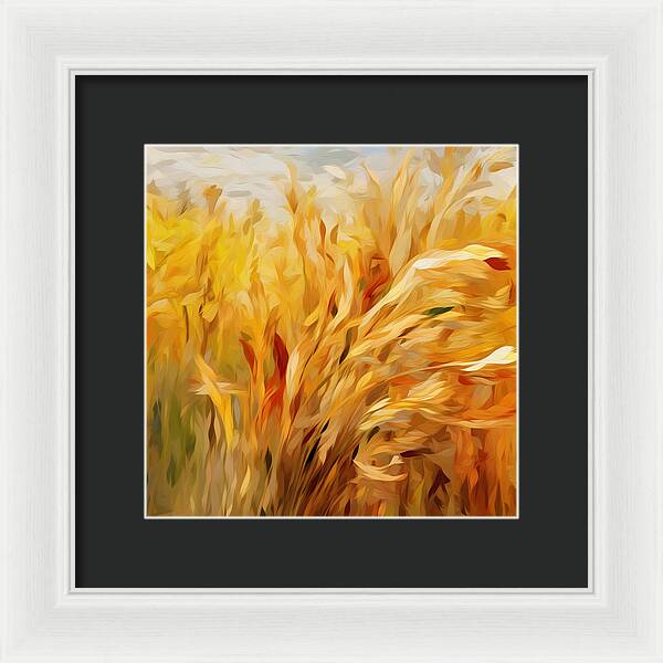 Golden Harvest - Framed Print