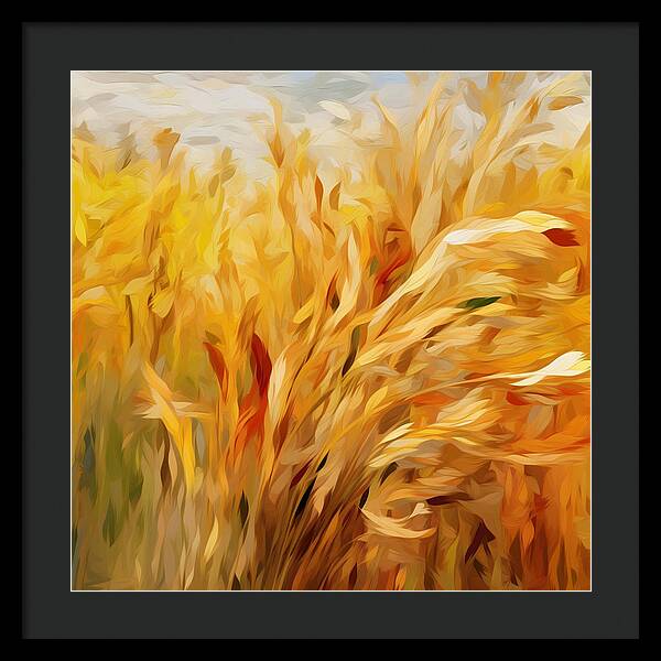 Golden Harvest - Framed Print