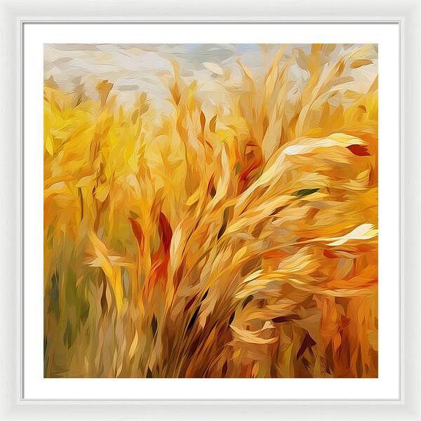 Golden Harvest - Framed Print