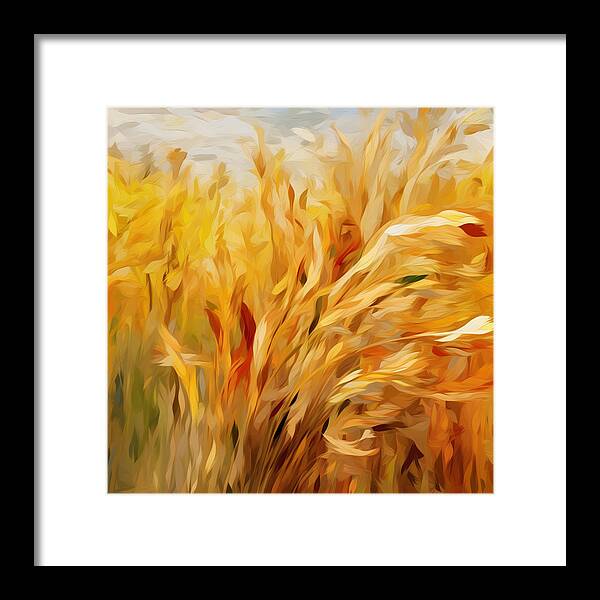 Golden Harvest - Framed Print