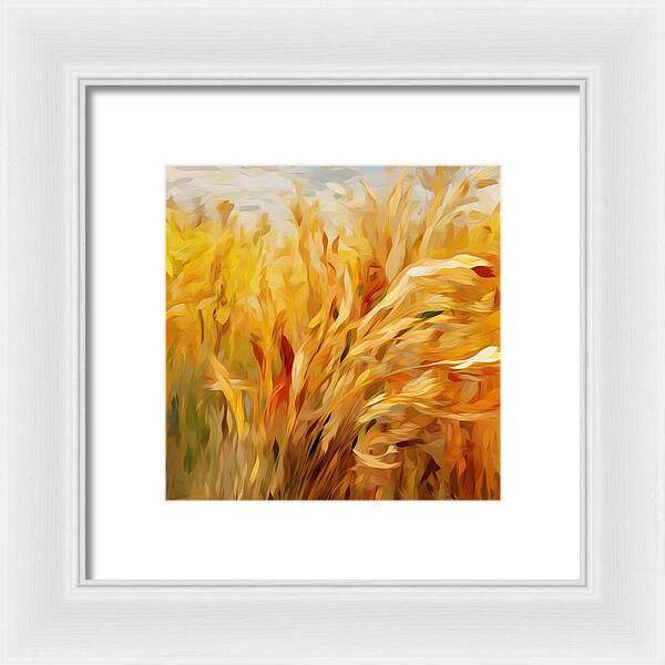 Golden Harvest - Framed Print