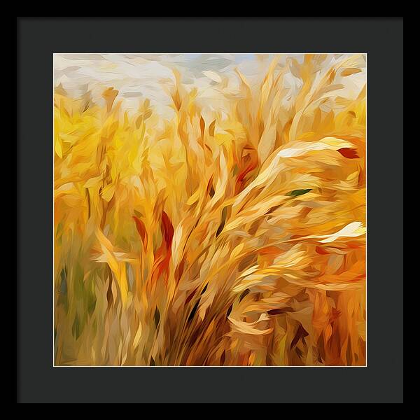 Golden Harvest - Framed Print