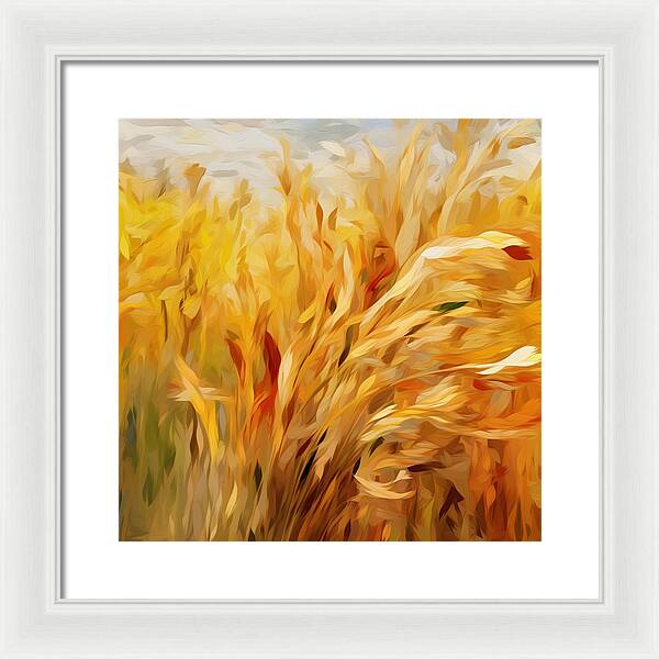 Golden Harvest - Framed Print