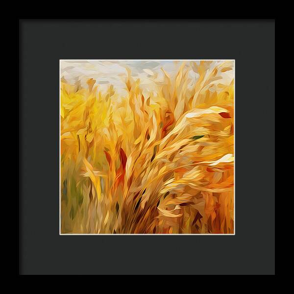 Golden Harvest - Framed Print