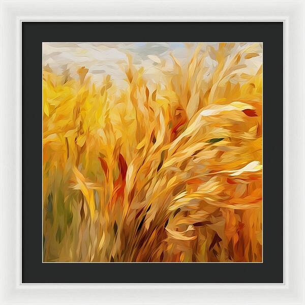 Golden Harvest - Framed Print