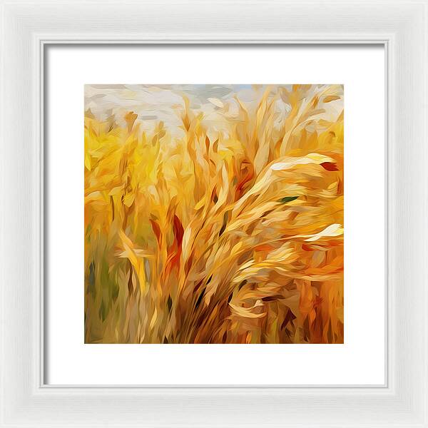 Golden Harvest - Framed Print