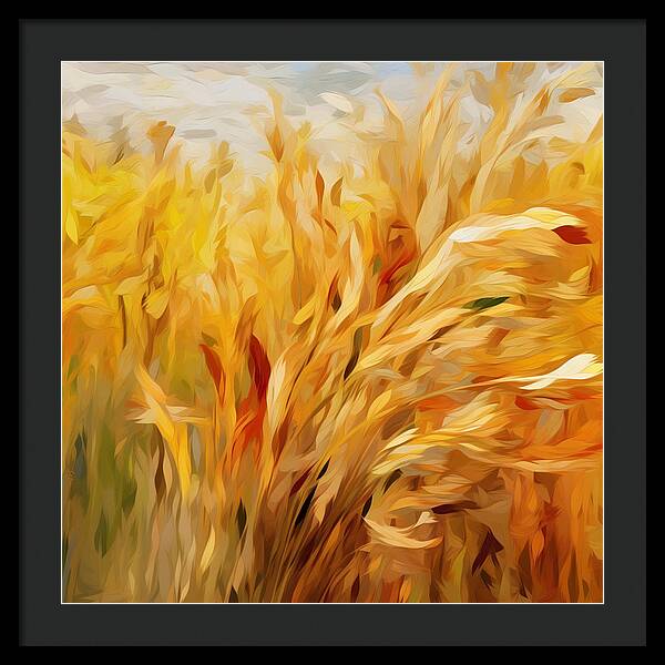 Golden Harvest - Framed Print