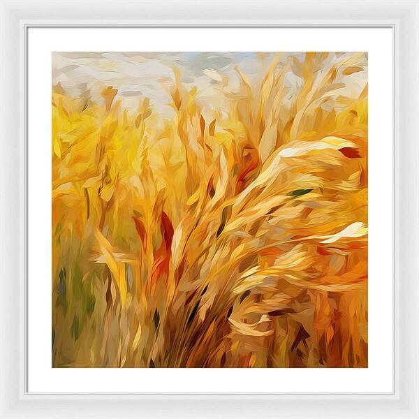 Golden Harvest - Framed Print