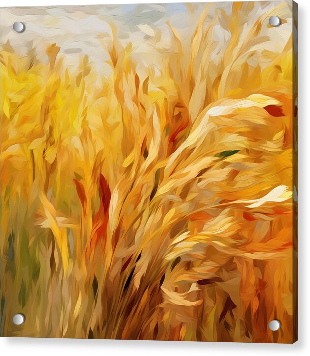 Golden Harvest - Acrylic Print