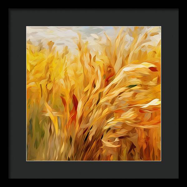 Golden Harvest - Framed Print