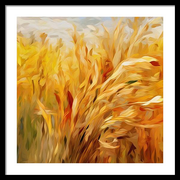Golden Harvest - Framed Print