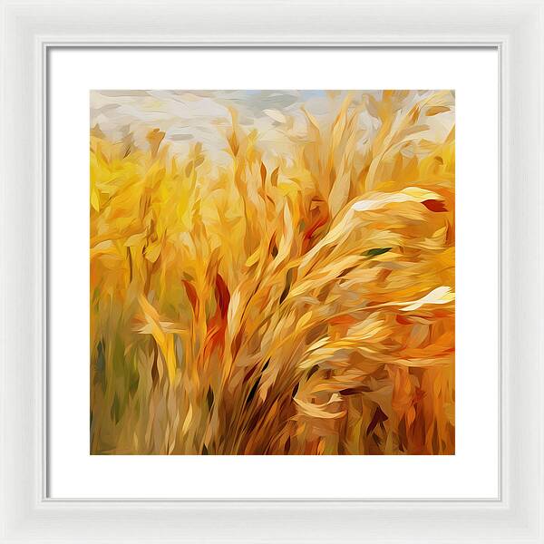 Golden Harvest - Framed Print