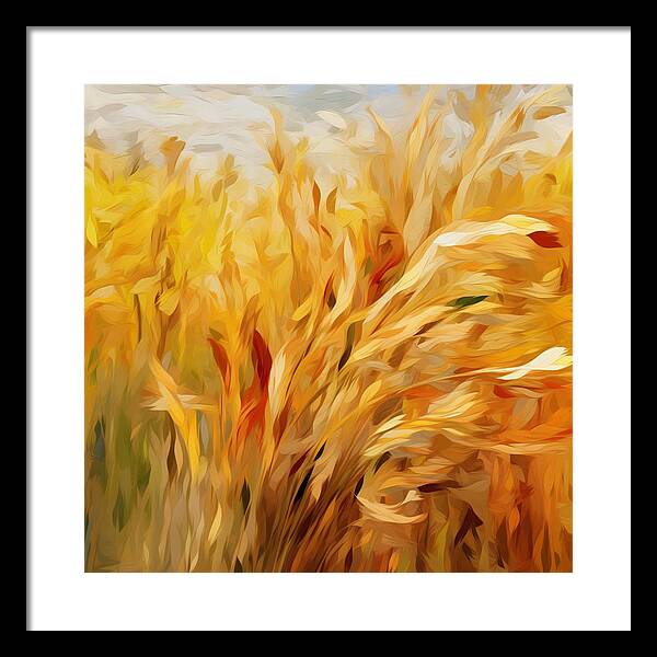 Golden Harvest - Framed Print