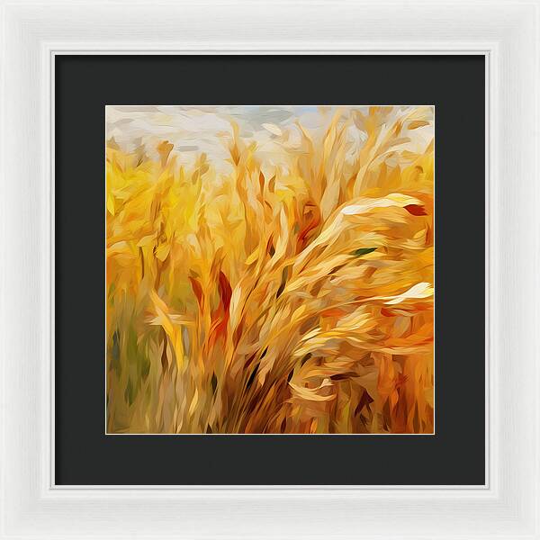 Golden Harvest - Framed Print