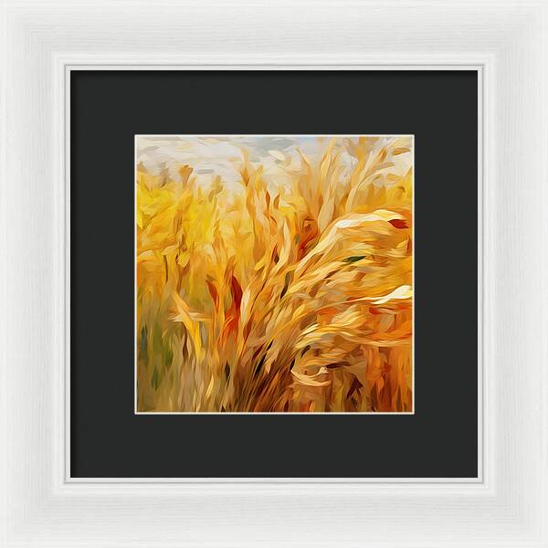 Golden Harvest - Framed Print