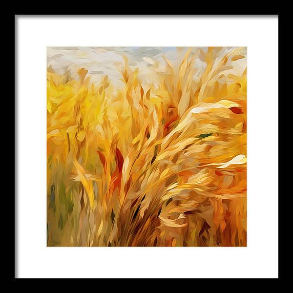 Golden Harvest - Framed Print