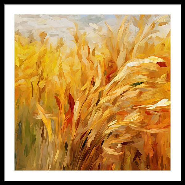 Golden Harvest - Framed Print