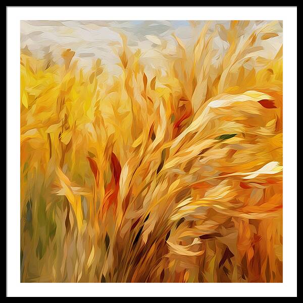 Golden Harvest - Framed Print