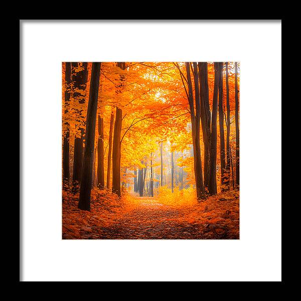 Golden Pathway - Framed Print