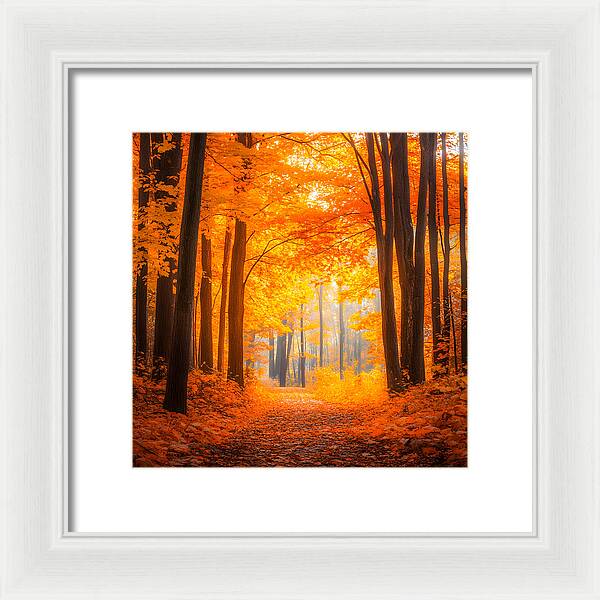 Golden Pathway - Framed Print