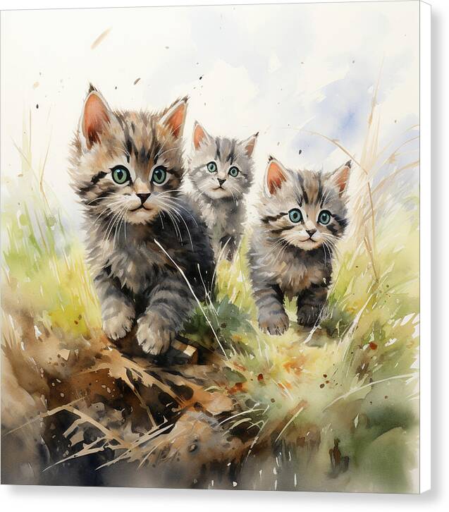 Meadow Musings - Canvas Print