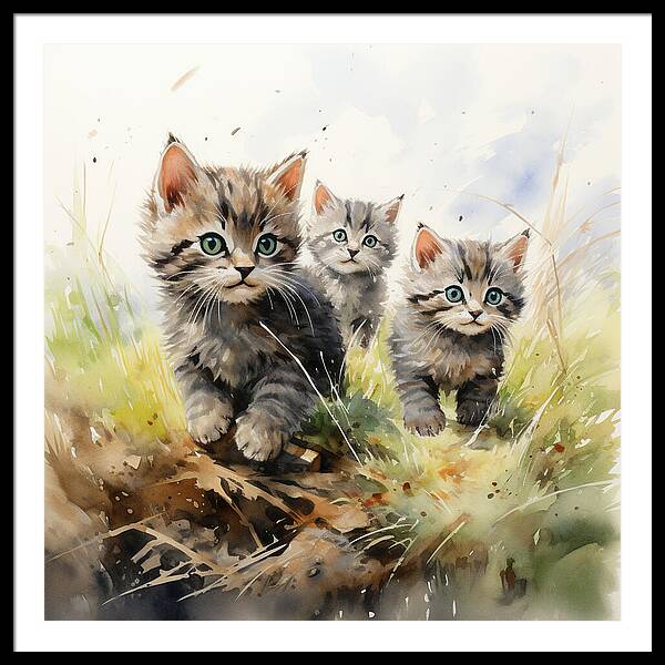 Meadow Musings - Framed Print