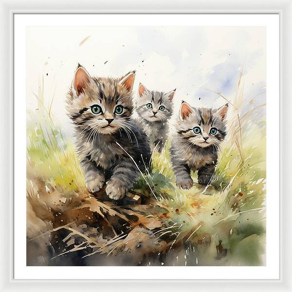 Meadow Musings - Framed Print