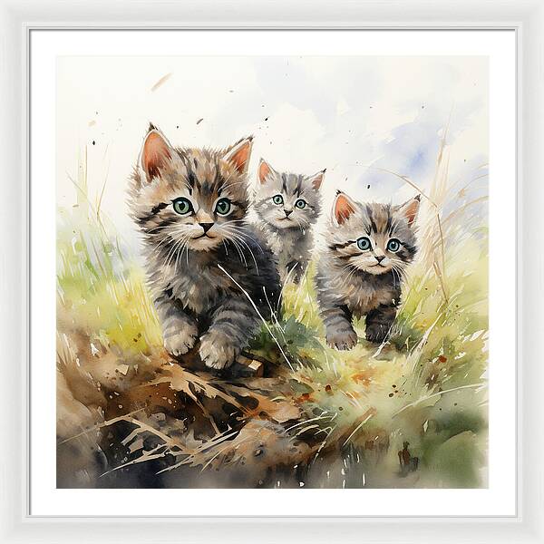 Meadow Musings - Framed Print