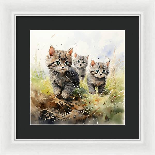 Meadow Musings - Framed Print