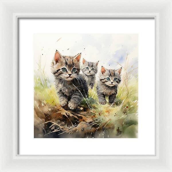 Meadow Musings - Framed Print