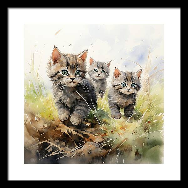 Meadow Musings - Framed Print