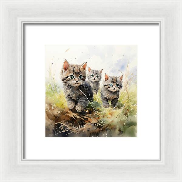 Meadow Musings - Framed Print