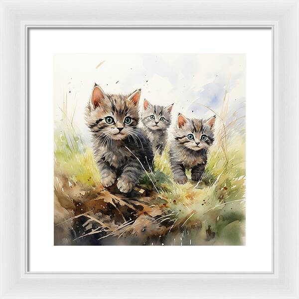 Meadow Musings - Framed Print