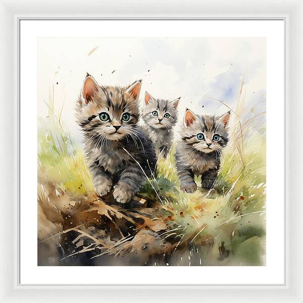 Meadow Musings - Framed Print