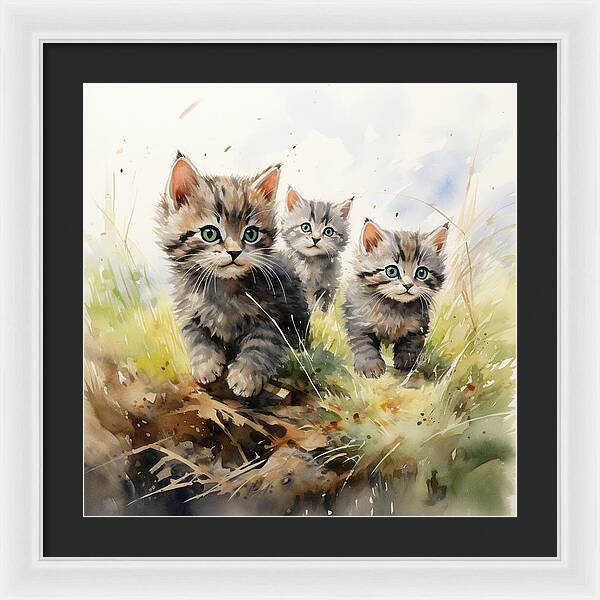 Meadow Musings - Framed Print