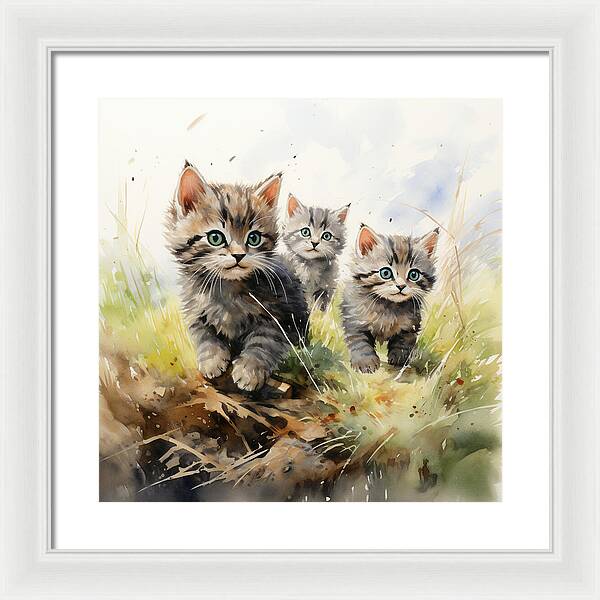 Meadow Musings - Framed Print