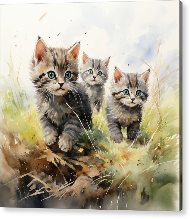 Meadow Musings - Acrylic Print