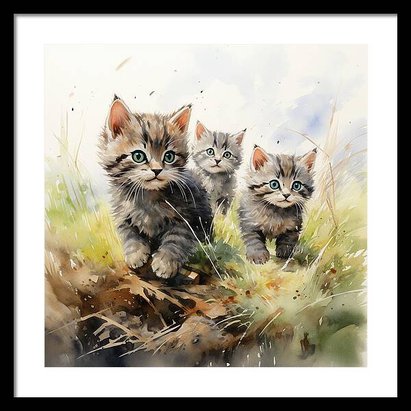 Meadow Musings - Framed Print