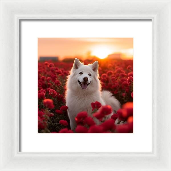 Petals and Paws - Framed Print