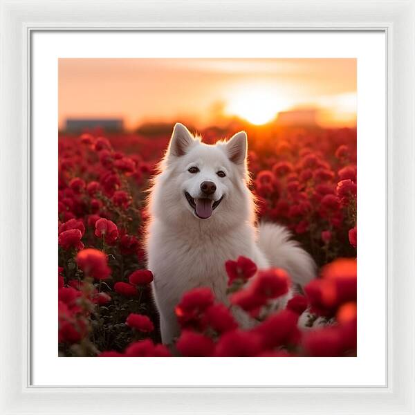 Petals and Paws - Framed Print